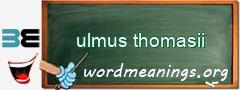 WordMeaning blackboard for ulmus thomasii